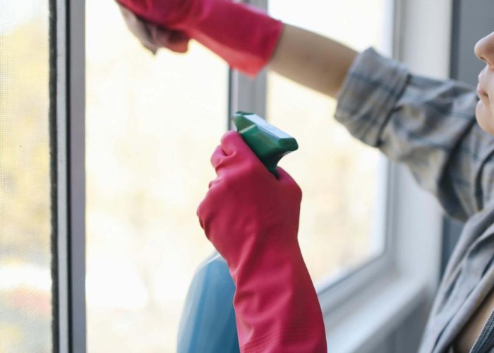 cleaning house windwo