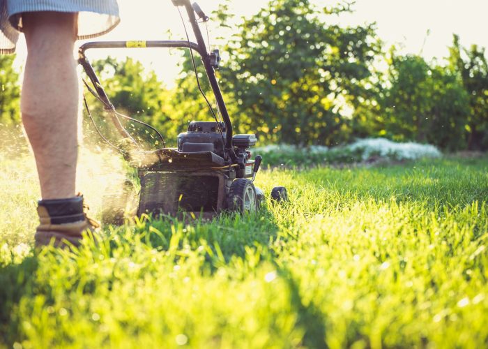 lawn mowing