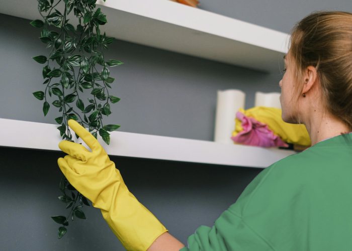 one-off spring cleaning service